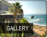 Gallery Button