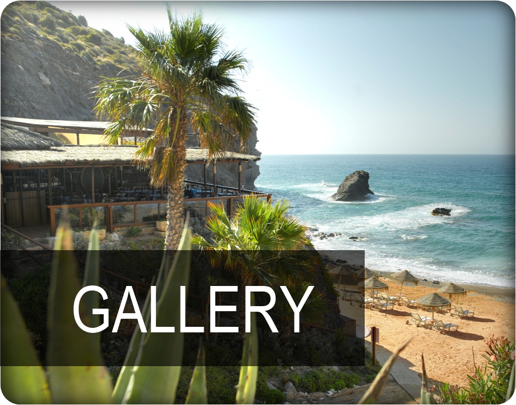 Gallery Button